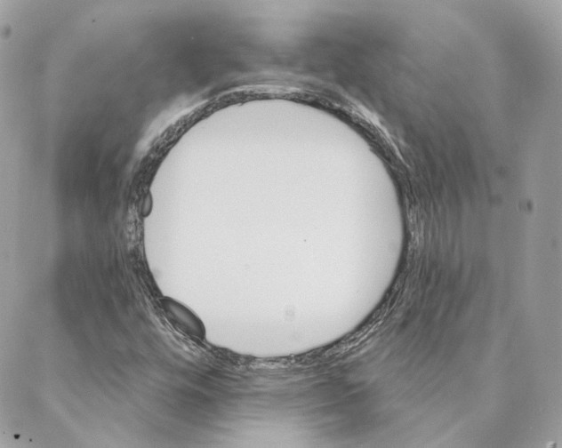 X0000088021448200706011312