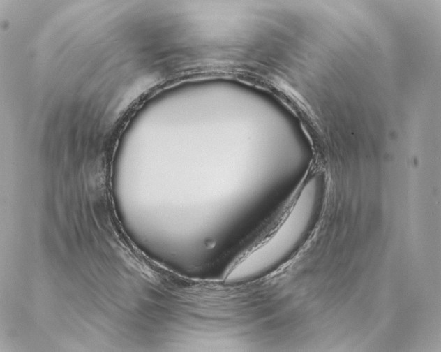 X0000088021450200706011312