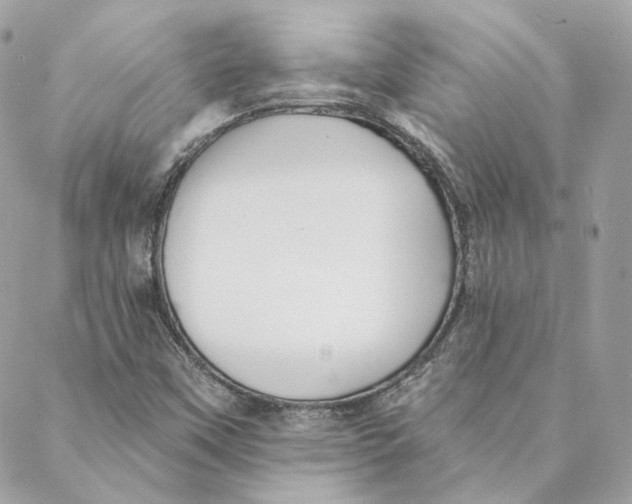 X0000088021451200706011312