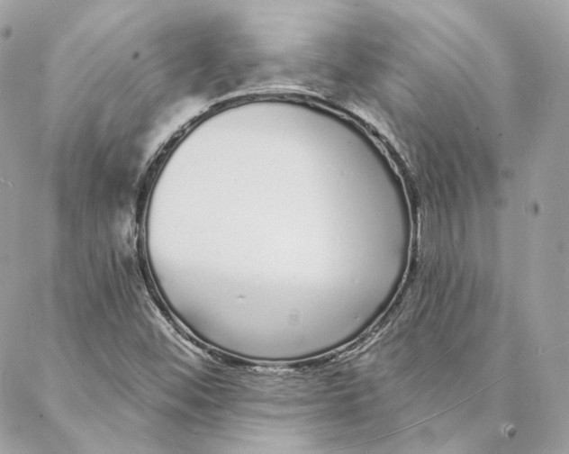 X0000088021452200706011312