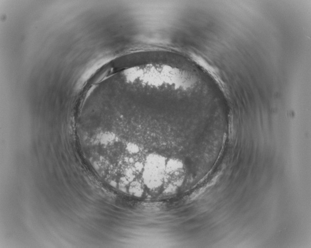 X0000088021453200706011312