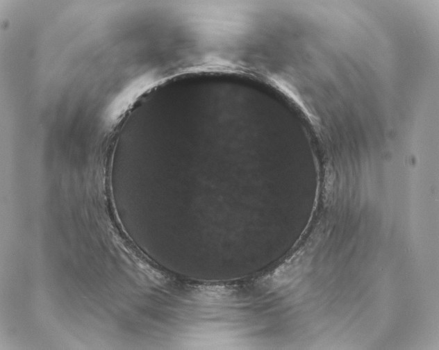 X0000088021455200706011312