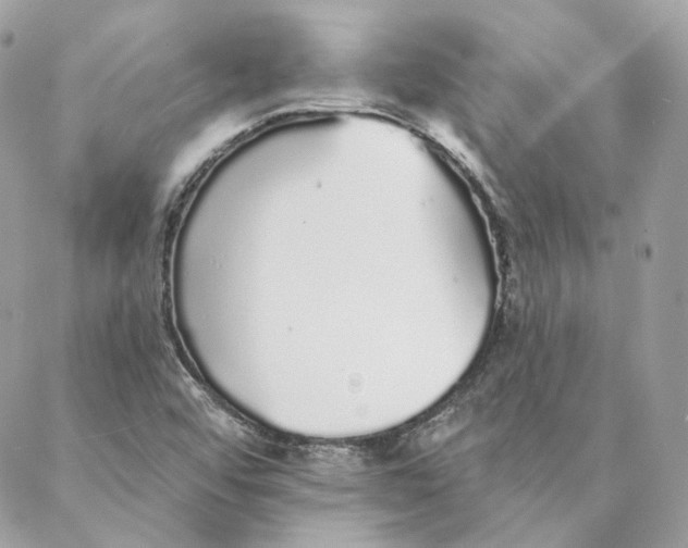 X0000088021456200706011312