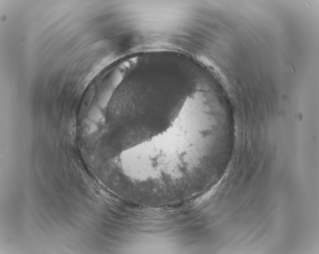 X0000088021457200706011312