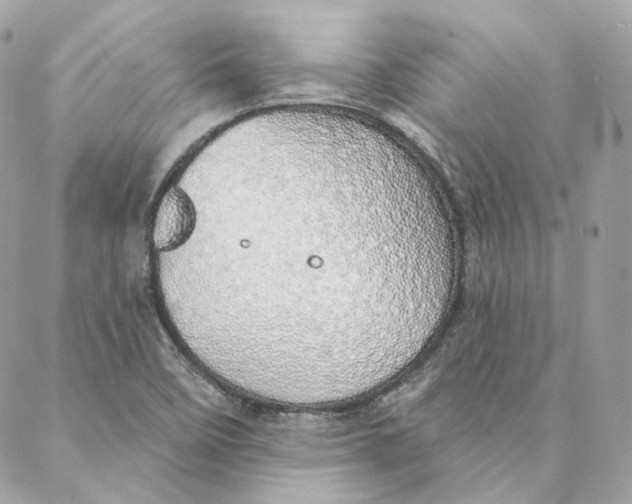 X0000088021458200706011312