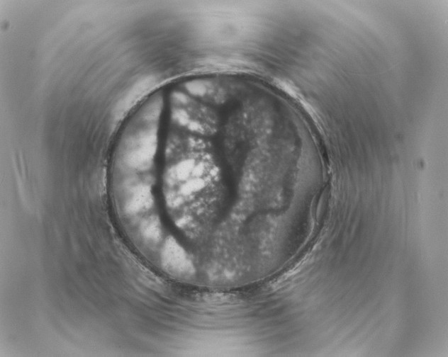 X0000088021459200706011312