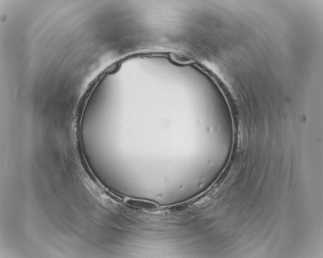 X0000088021460200706011312