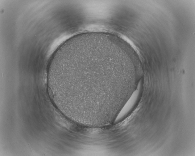 X0000088021461200706011312