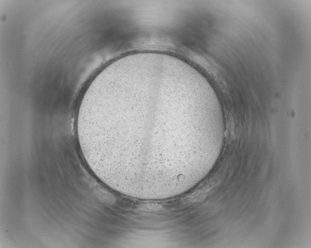 X0000088021462200706011312