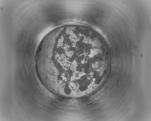 X0000088021463200706011312