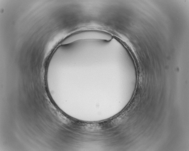 X0000088021464200706011312