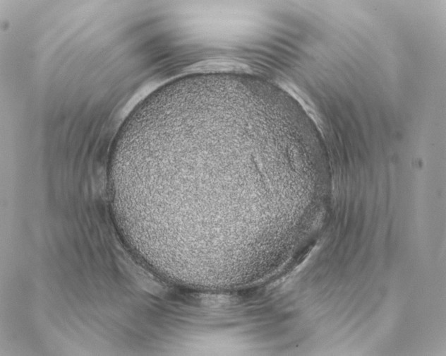 X0000088021465200706011312