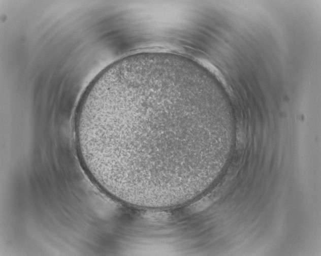 X0000088021466200706011312