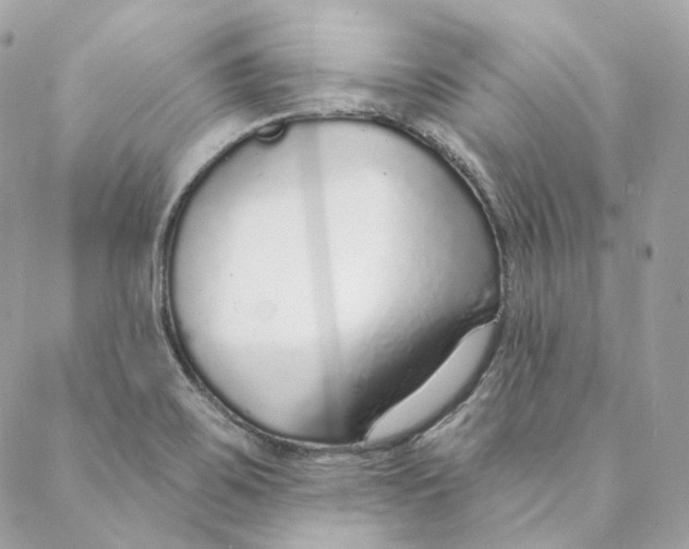 X0000088021467200706011312