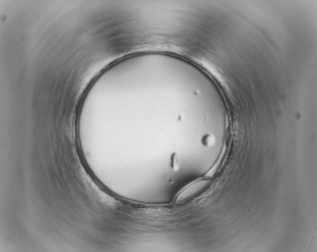 X0000088021468200706011312