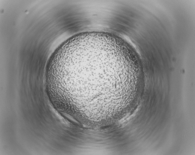 X0000088021469200706011312