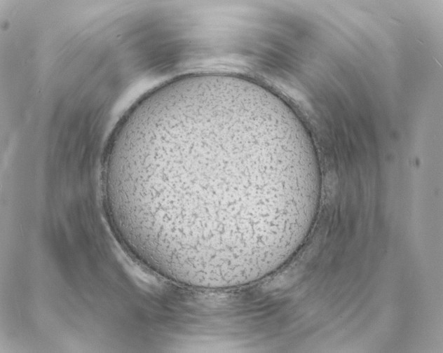 X0000088021470200706011312