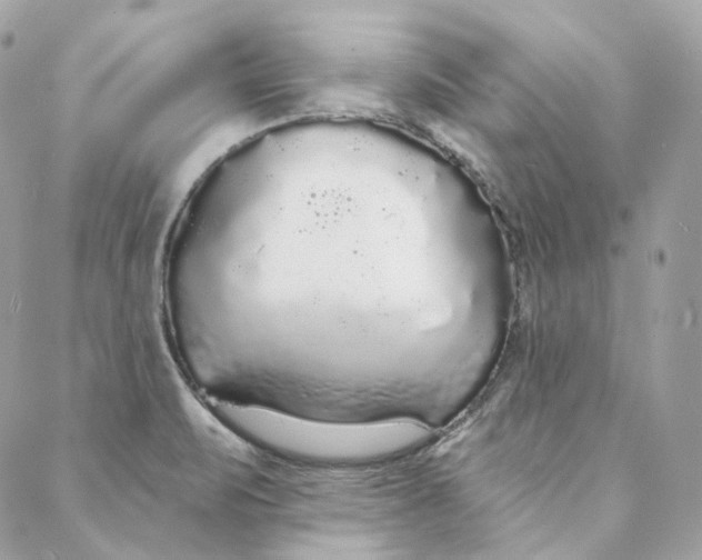 X0000088021471200706011312