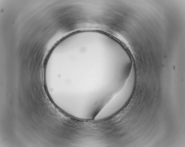 X0000088021472200706011312