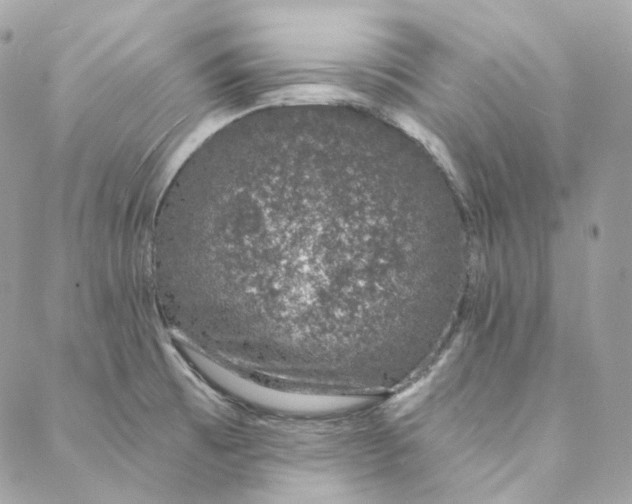 X0000088021473200706011312