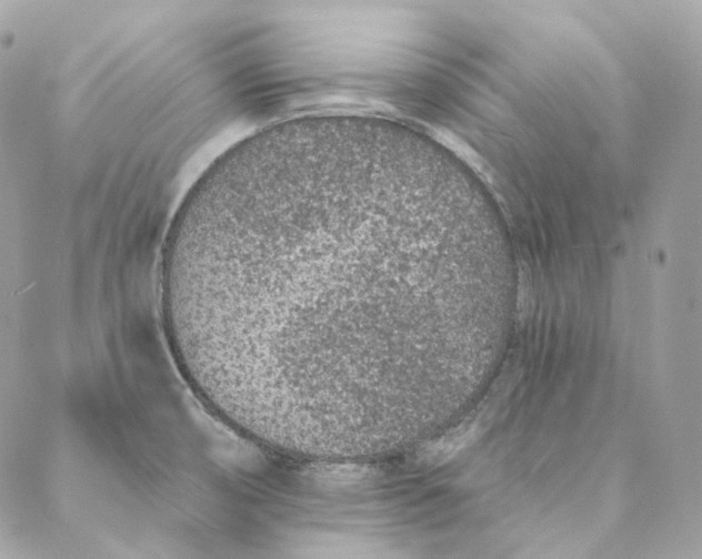 X0000088021474200706011312