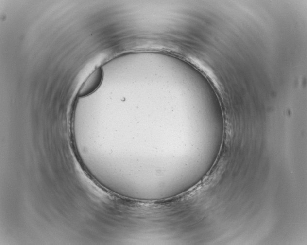 X0000088021475200706011312