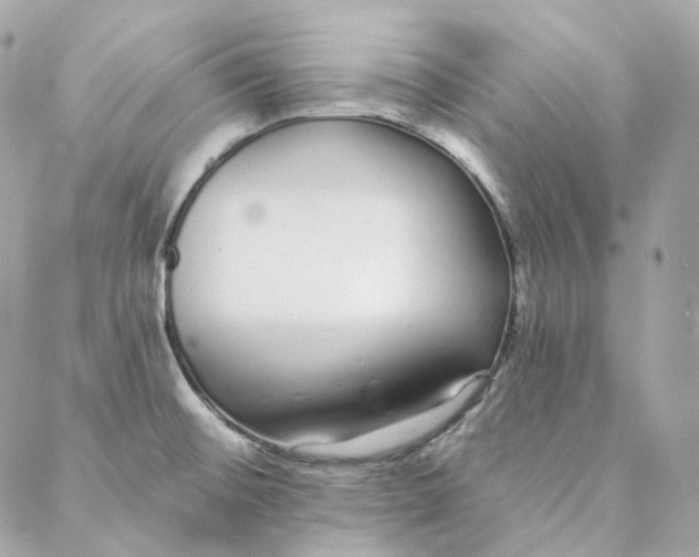 X0000088021476200706011312