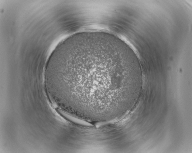 X0000088021477200706011312