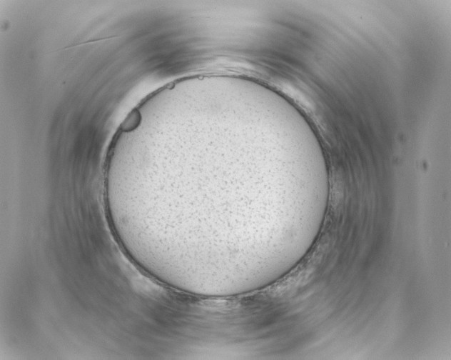 X0000088021478200706011312