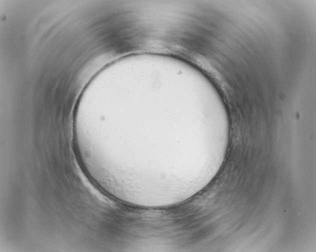 X0000088021479200706011312