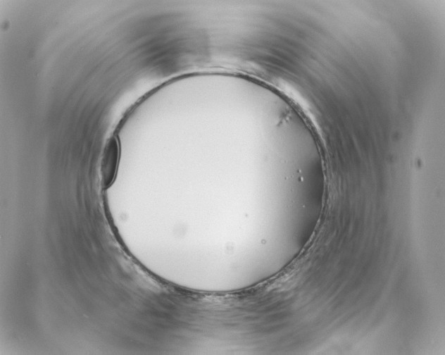 X0000088021480200706011312