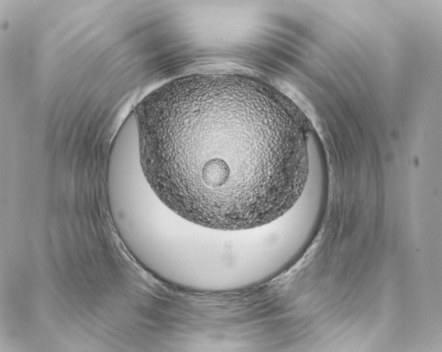 X0000088021481200706011312