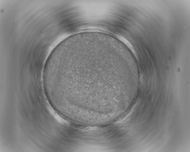 X0000088021482200706011312