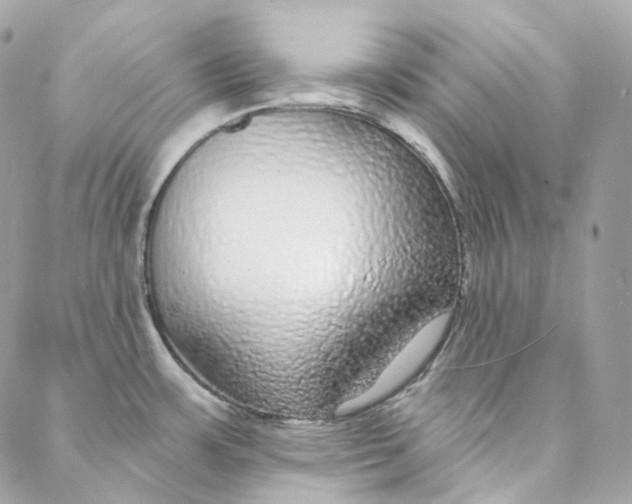 X0000088021483200706011312