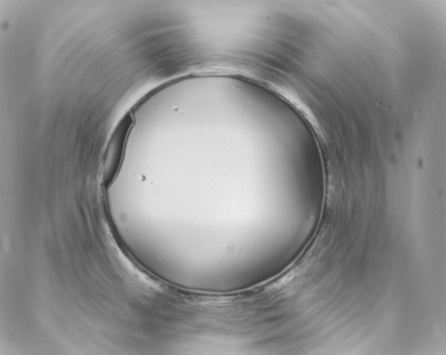 X0000088021484200706011312