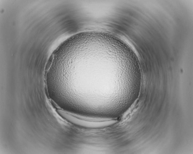 X0000088021485200706011312