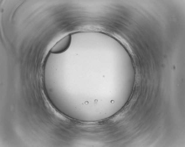 X0000088021486200706011312