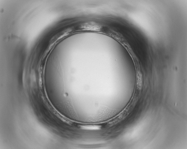 X0000088021487200706011312