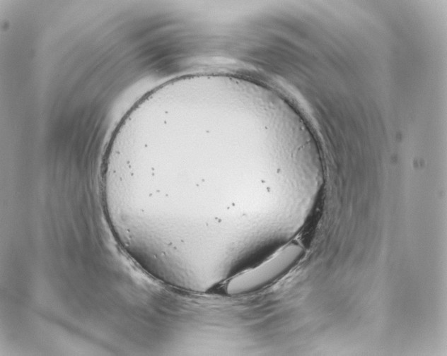 X0000088021488200706011312