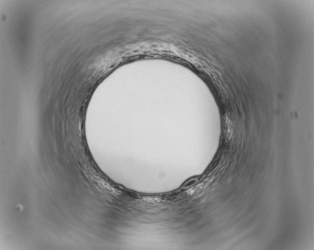 X0000088021489200706011311