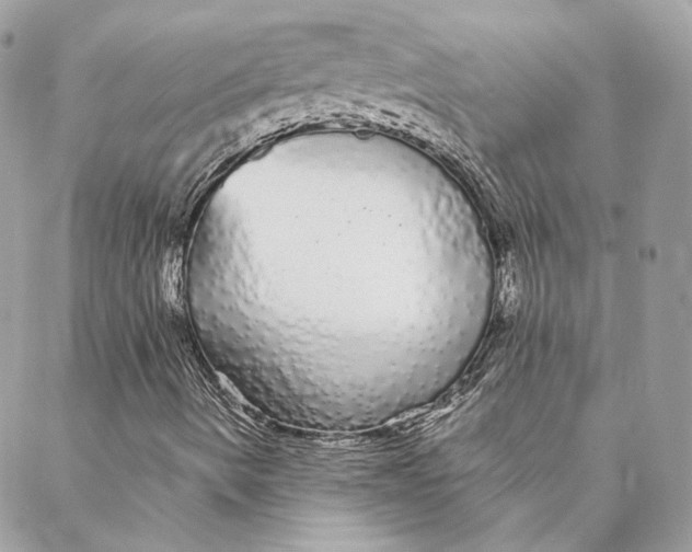 X0000088021490200706011311