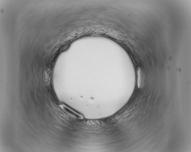 X0000088021491200706011311