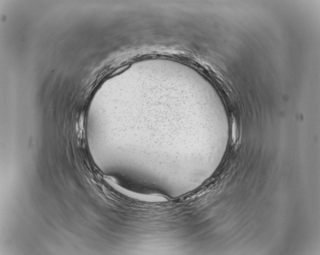 X0000088021492200706011311