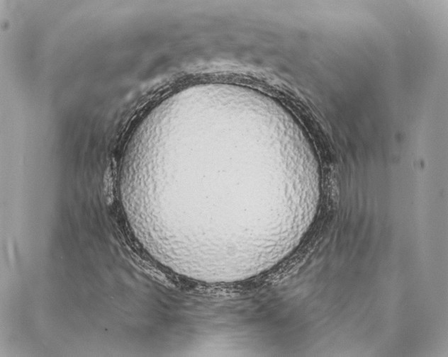 X0000088021493200706011311