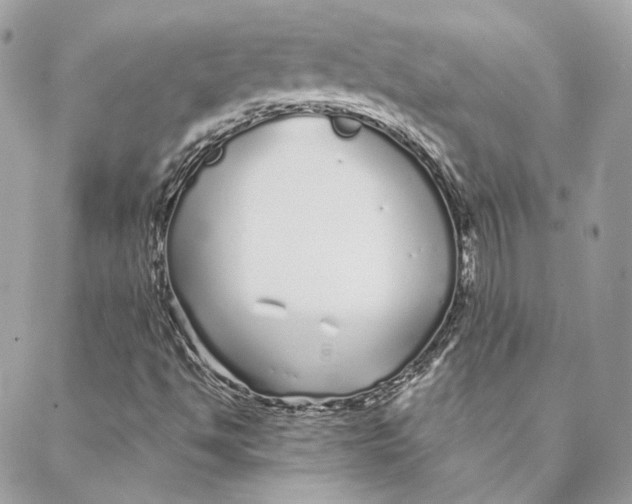 X0000088021494200706011311