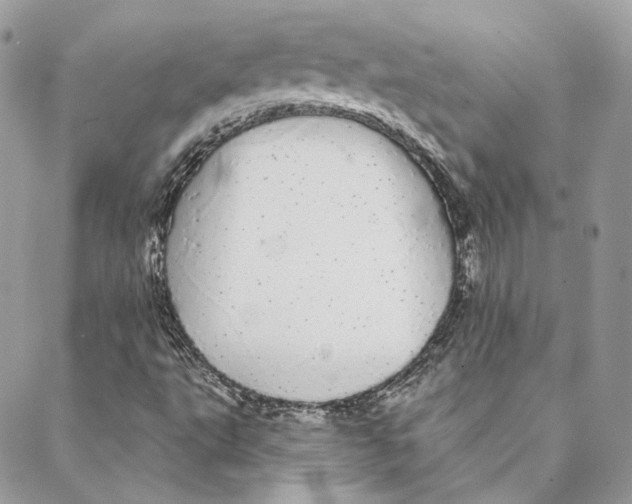 X0000088021495200706011311