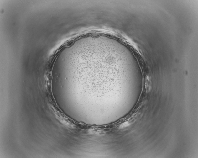 X0000088021496200706011311