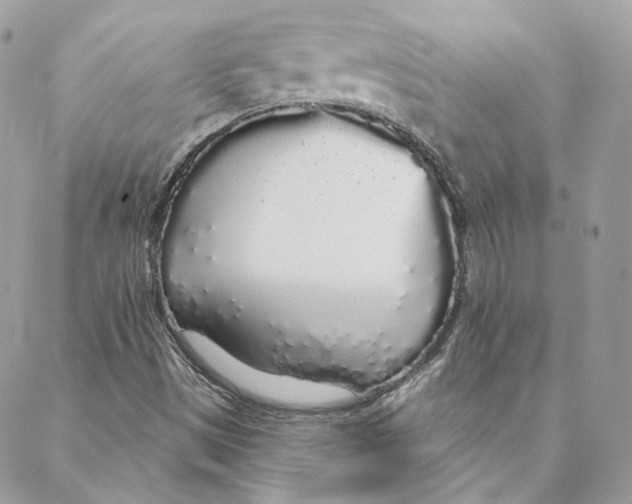 X0000088021497200706011311