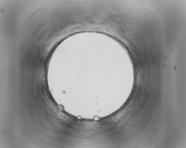 X0000088021498200706011311