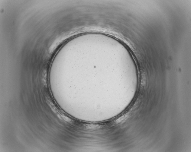 X0000088021499200706011311